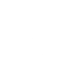 Holistic Wellness